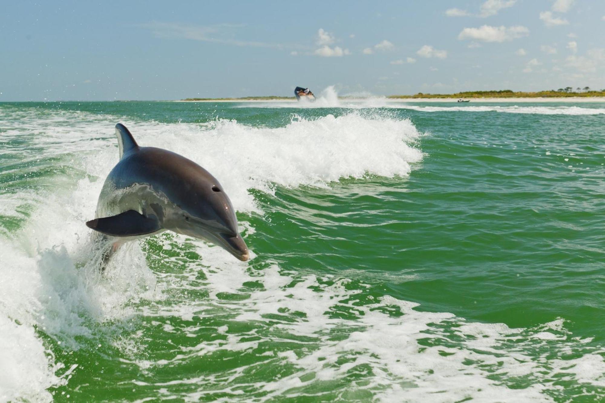 Holiday Inn & Suites Clearwater Beach S-Harbourside Ngoại thất bức ảnh